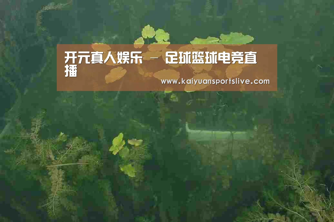 案例展示三(图1)