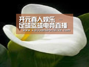 产品名称七