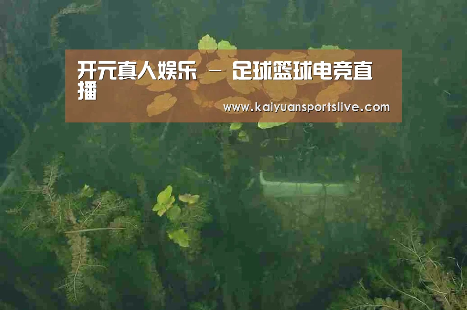 案例展示三