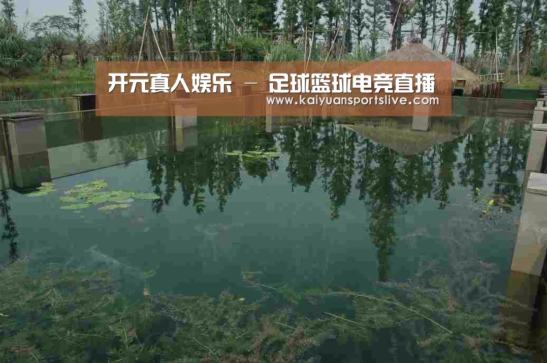 案例展示二