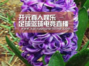 产品名称八