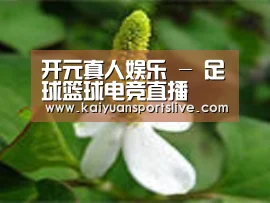 产品名称三